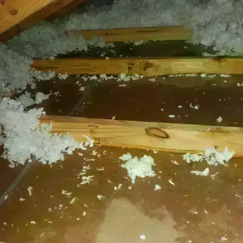 Attic Water Damage in Batesville, IN